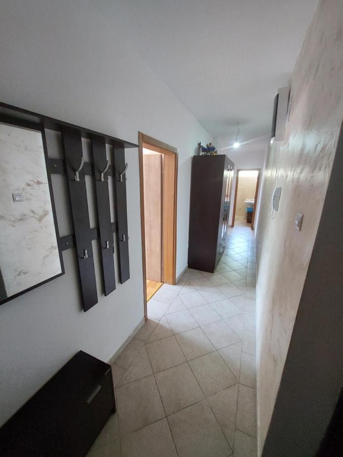 Apartman Bujisic Apartment Pluzine Exterior photo